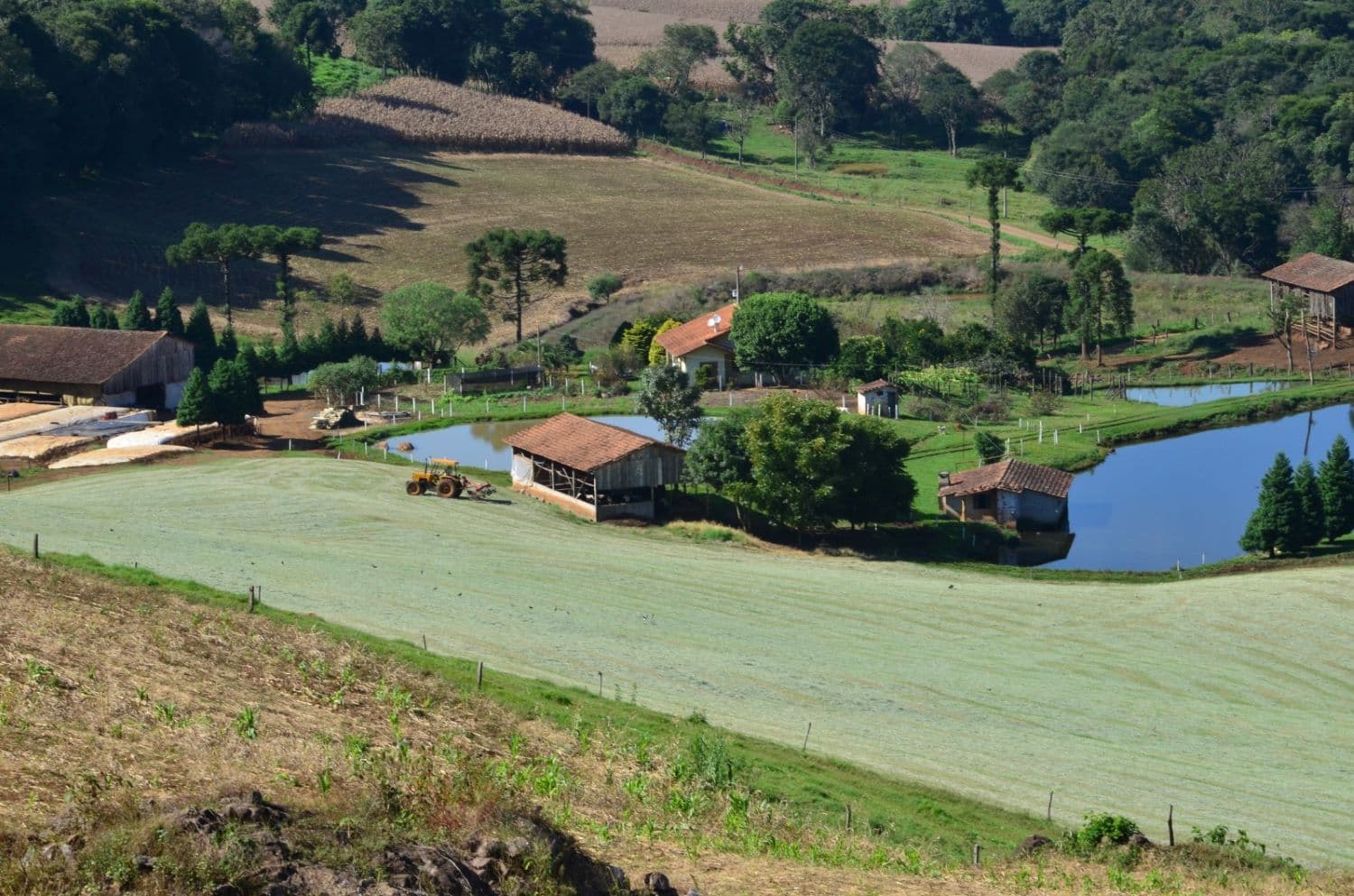 Governo de SC envia para Alesc programa para impulsionar investimentos no campo (Foto: Aires Mariga)