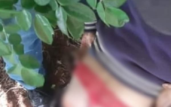 Foragido usando calcinha vermelha surpreende a polícia
