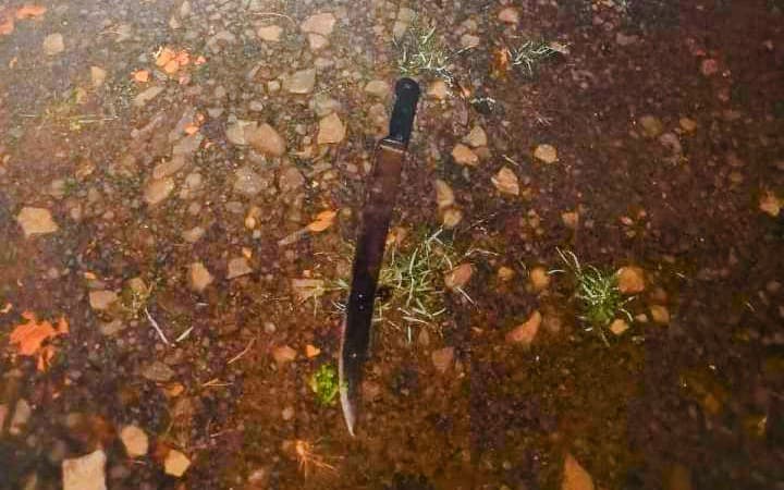 Facão usado no crime (Foto: Polícia Civil)