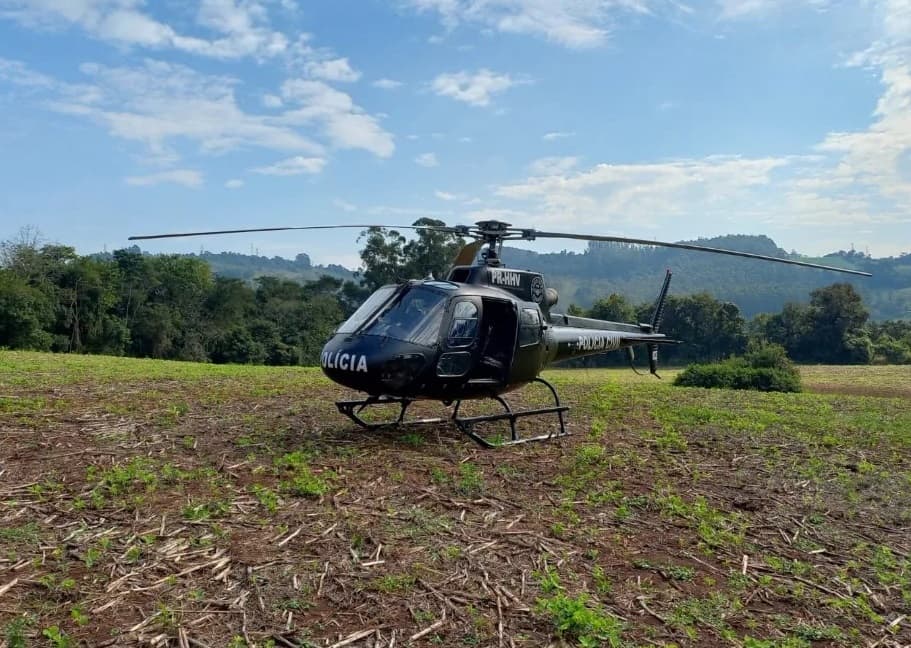 Apreensão foi realizada em Águas de Chapecó (Foto: Divulgação)