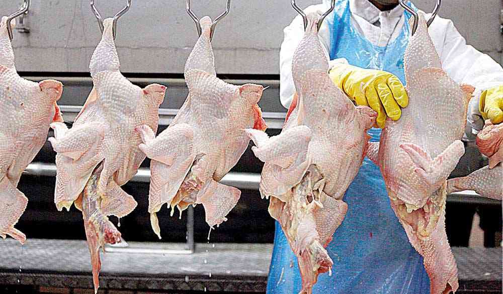 A carne de aves atingiu US$ 163,1 milhões em vendas (Foto: Crédito: Paulo Whitaker/Reuters)