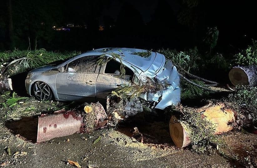 Por sorte, nenhuma pessoa estava dentro do carro (Foto: Corpo de Bombeiros)