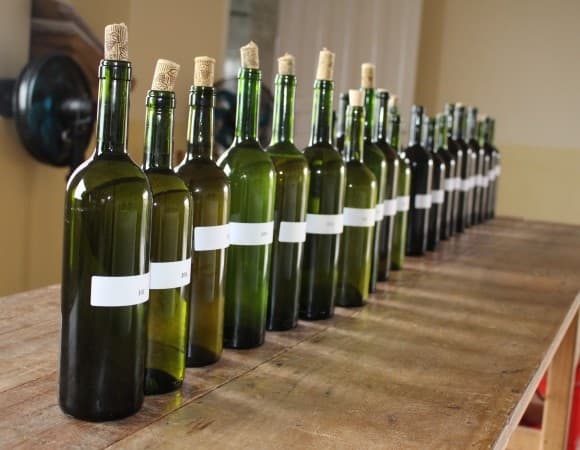 Vinhos do Oeste serão premiados em durante jantar em Modelo (Foto: Divulgação)