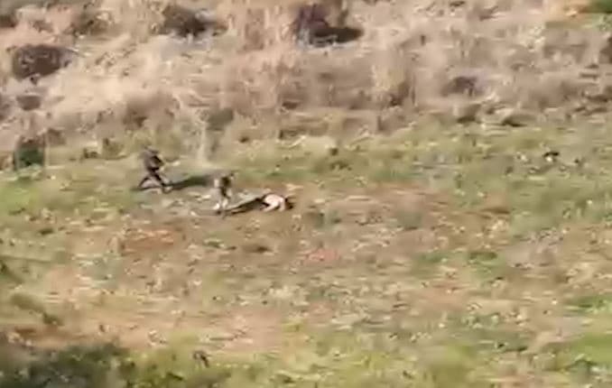 Detento estava em área de mata (Foto: Divulgação)