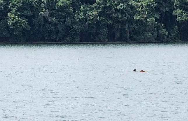 Resgate dramático aconteceu no Paraná (Foto: João Frigério)