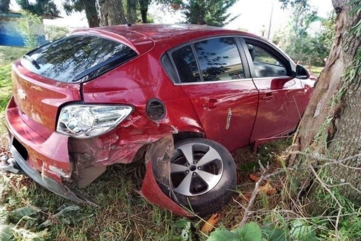 Meliante colidiu carro contra árvore em Irani (Foto: Polícia Militar)