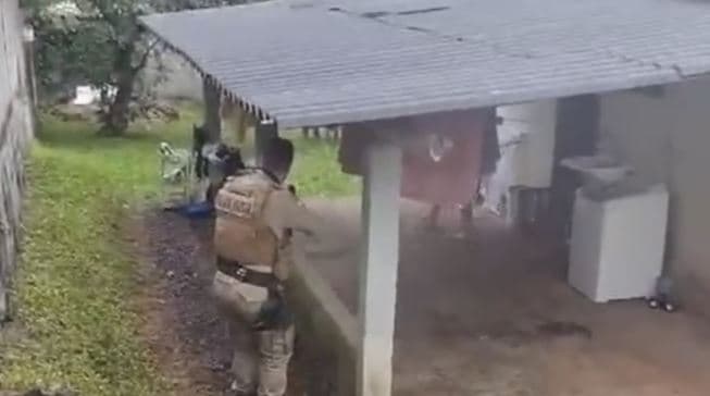 ASSISTA: Pitbulls são sacrificados depois de matarem trabalhador