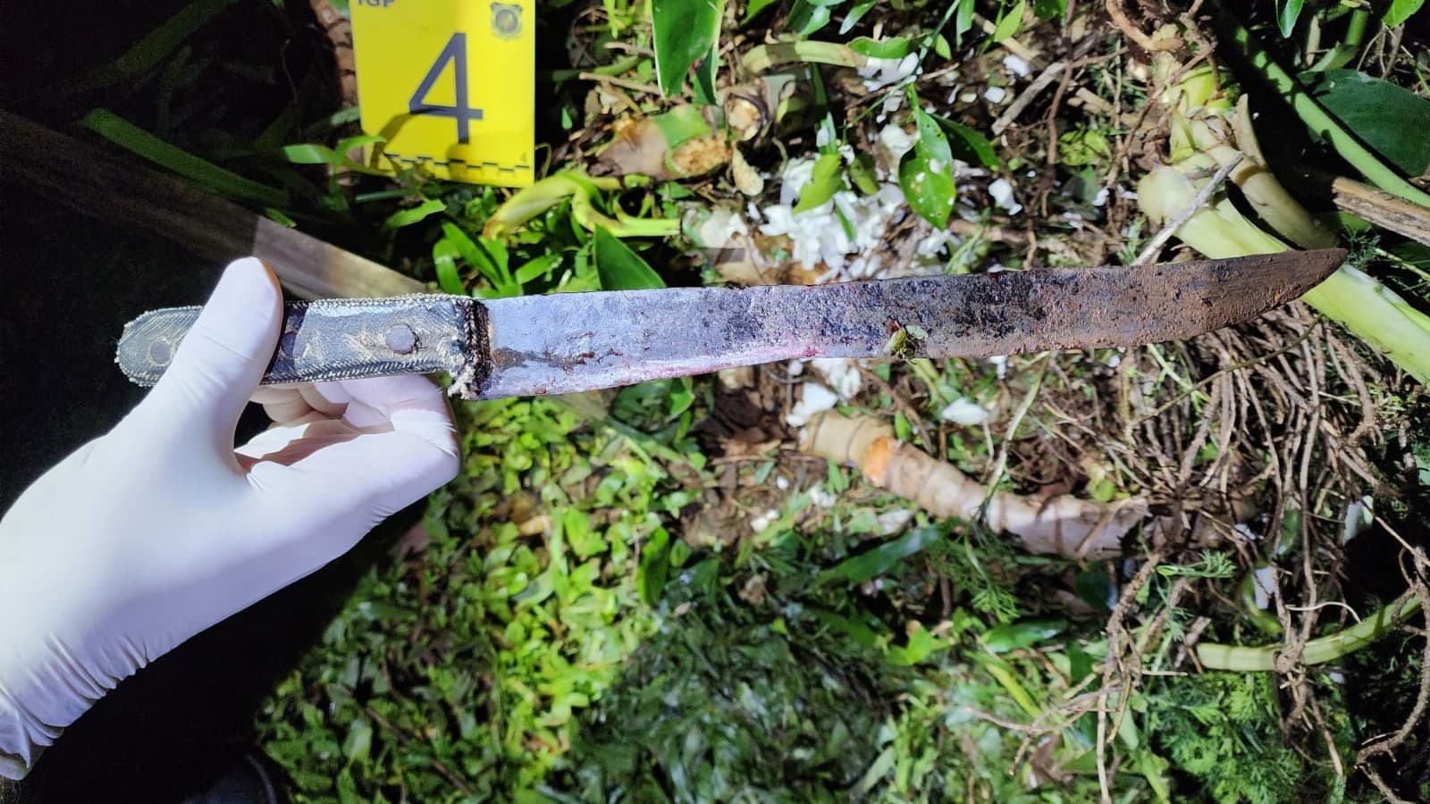 Vizinho mata mulher com golpe de arma branca 