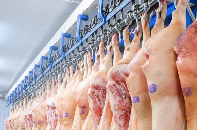 Santa Catarina é o maior exportador de carne suína do Brasil (Foto: Divulgação A.C.C.S)