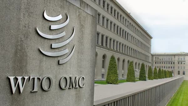 Brasil aciona OMC contra tarifaço dos Estados Unidos (Foto: Reprodução/Internet)