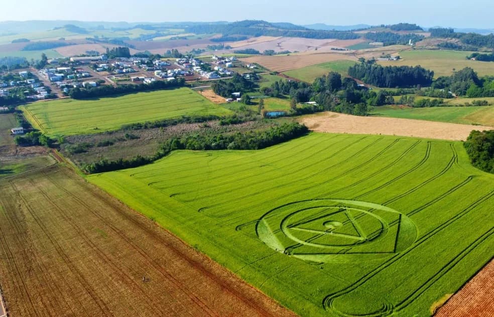 Agroglifos que apareceram em Ipuaçu (Foto: Tiago Kosinski / Divulgação)