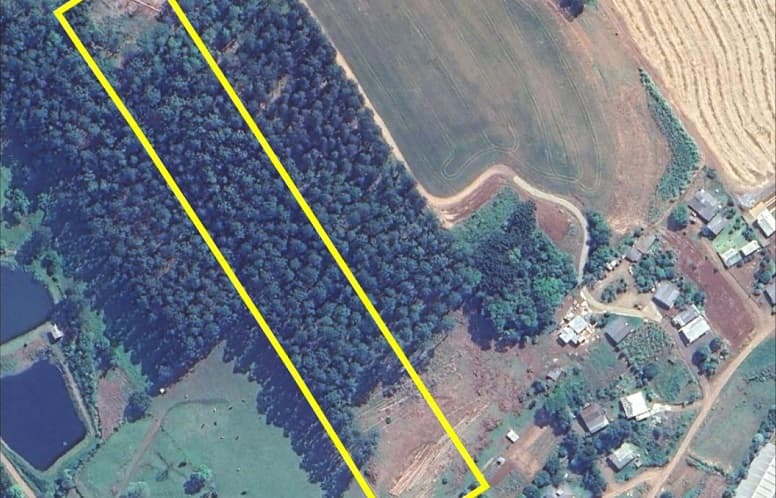 Município de Águas Frias investe em área para construção de casas populares