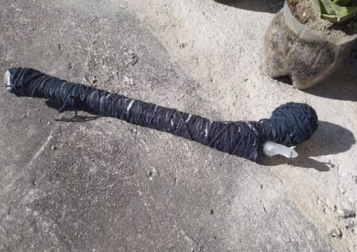 Mulher é suspeita de vilipêndio a cadáveres  (Foto: Polícia Militar)