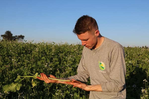 Filho do dono da fazenda, Vitor Finger vai seguir os passos do pai e avô (Foto: Henrique Paulo Koch)