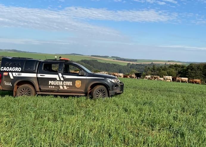 Centro especializado de combate ao crime contra o agronegócio agiu rápido (Foto: Polícia Civil)
