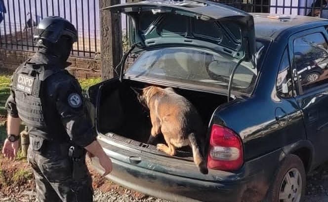 Investigação segue atenta e apreensões acontecem na região Oeste de SC (Foto: Polícia Civil)