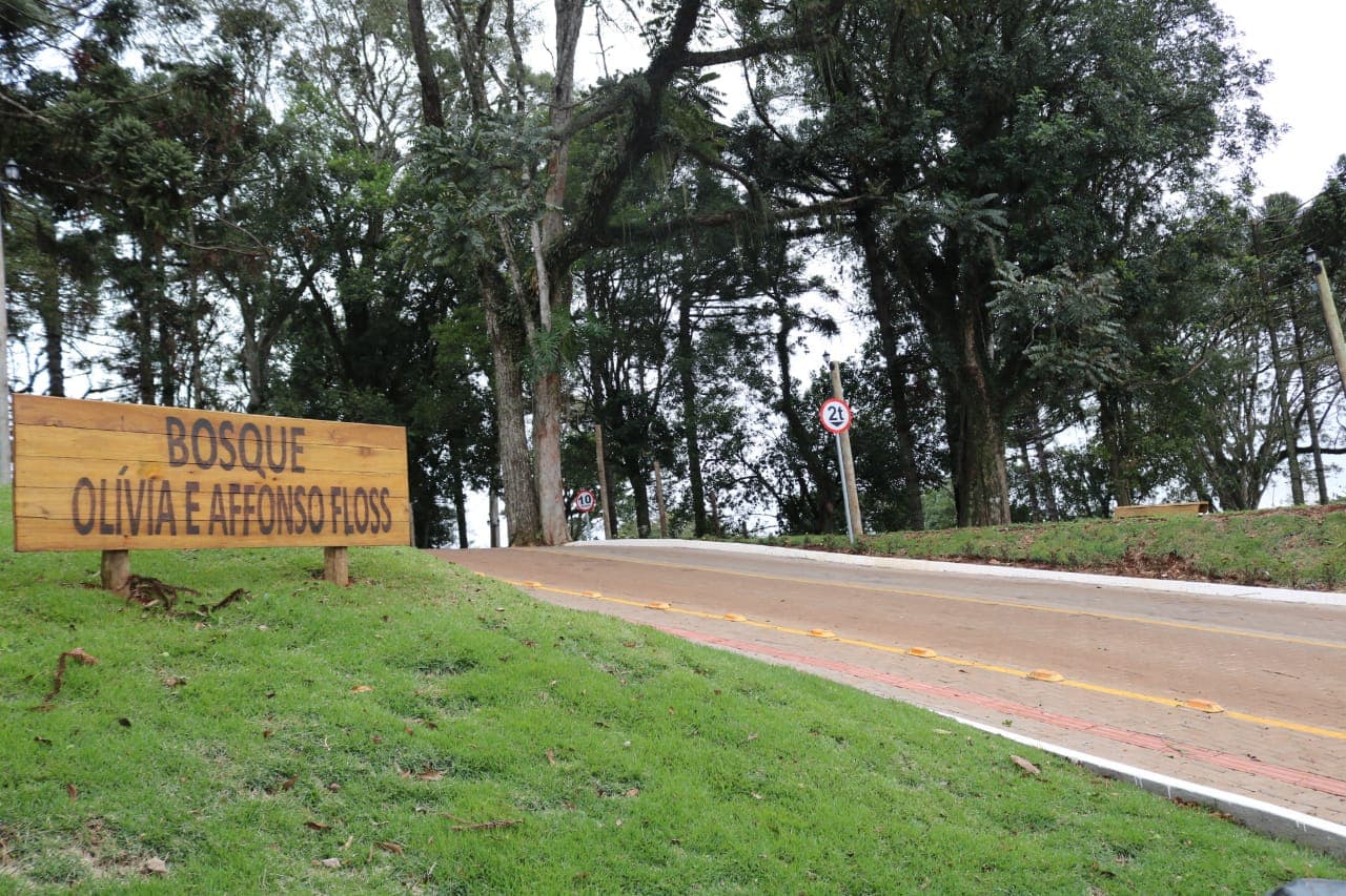 Bosque  Olívia e Affonso Floss (Foto: Henrique Paulo Koch)