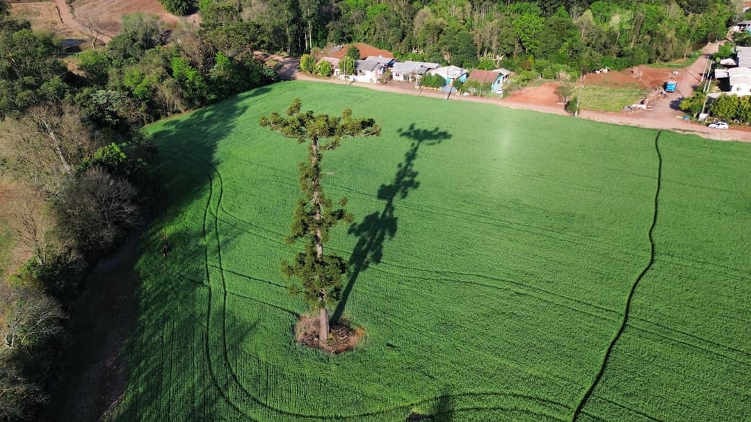 Prefeitura de União do Oeste adquire área para construção de casas do Programa Casa Catarina