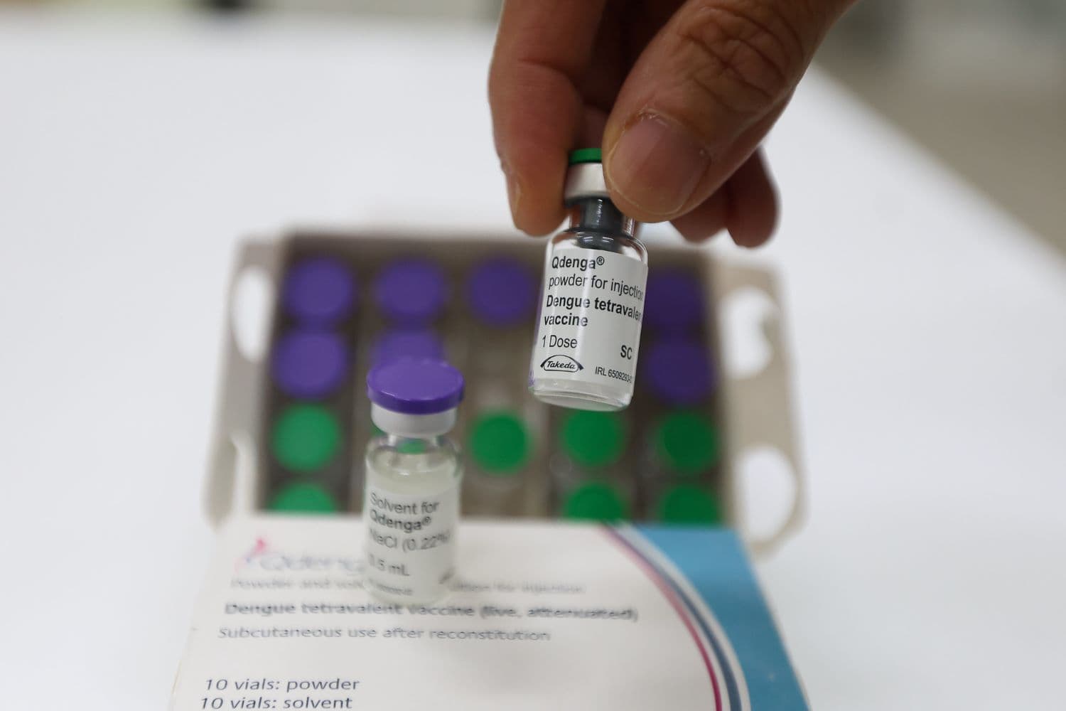 Vacinação contra a dengue não alcança metade da meta em SC
