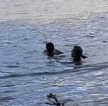 Bombeiros resgatam garoto que havia sumido em Nova Itaberaba