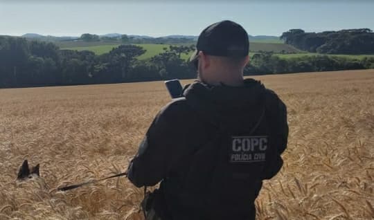 Trabalho policial teve atuação de cachorros (Foto: Polícia Civil)
