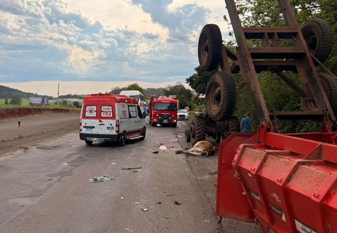 Flor do Sertão: veículo bate em trator que levava vaca