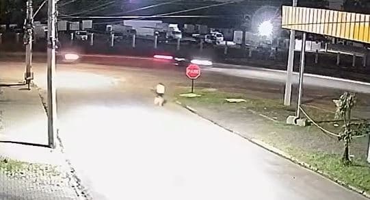 Cenas de arrepiar: garoto sobrevive em milagre no Rio Grande do Sul