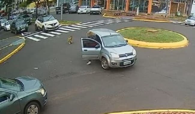 Criança ficou por alguns segundos no asfalto (Foto: Divulgação)
