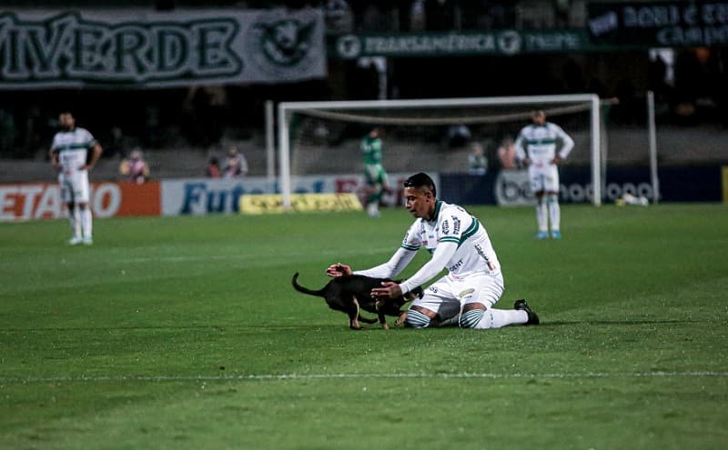 Cachorro brincou com atleta em partida de futebol (Foto: Coritiba)
