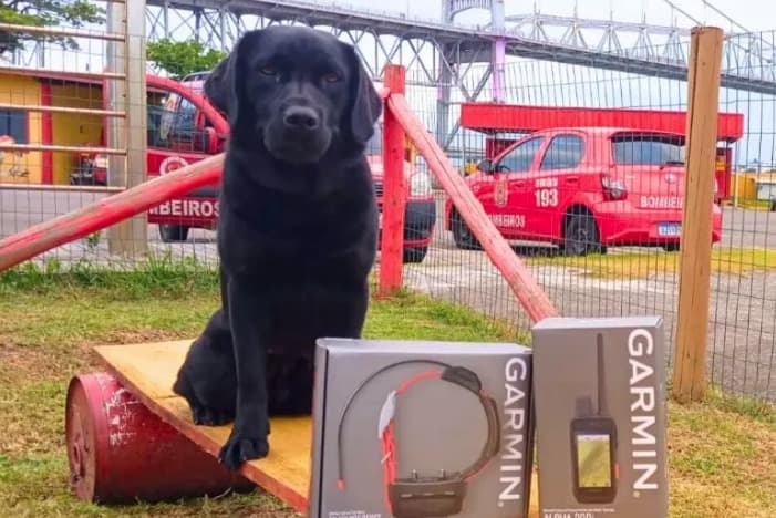 CBM investe em novo GPS para aprimorar trabalho com cães de busca e resgate
