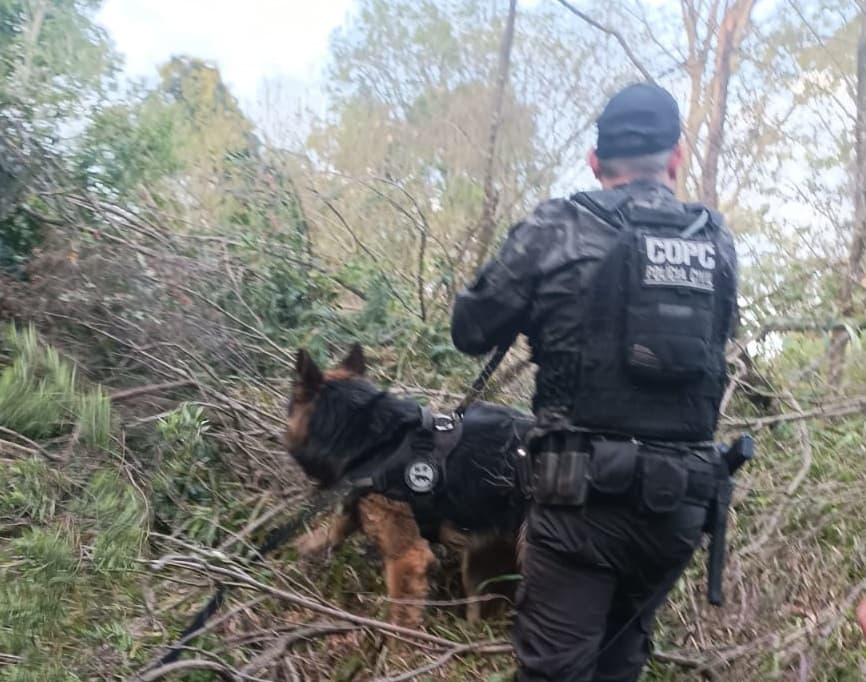 Cão Boriz em ação em mata fechada (Foto: Polícia Civil)