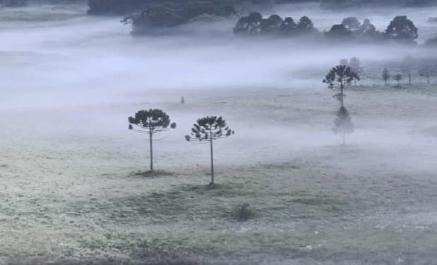 Frio intenso marca o segundo final de semana do inverno em Santa Catarina