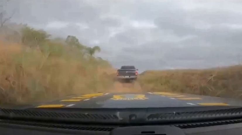 Dá uma olhada nessa "caçada" de tirar o fôlego no Paraná