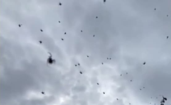 Situação ocorreu em Minas Gerais (Foto: Arquivo pessoal)