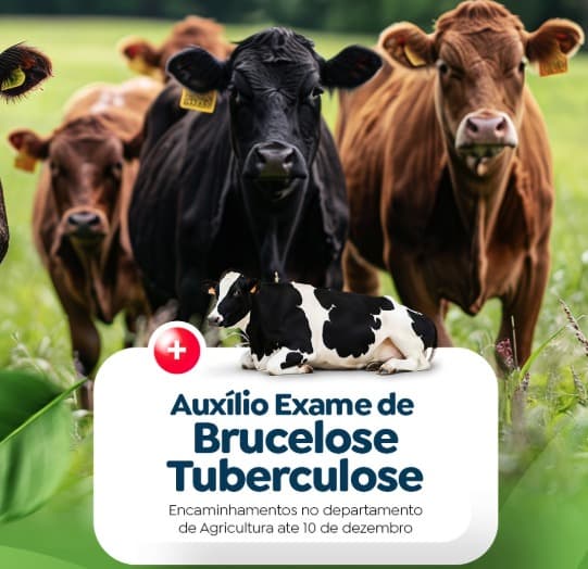 Produtor de Modelo pode solicitar auxílio para exames de Brucelose e Tuberculose