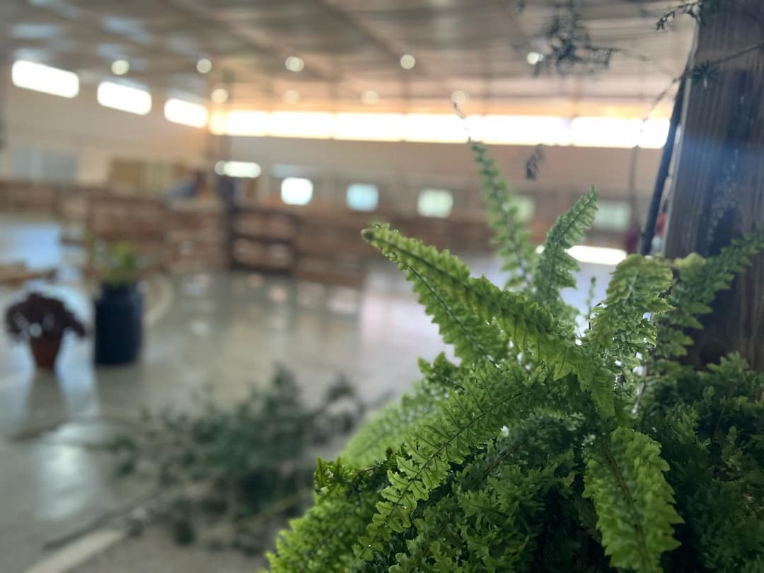  Águas Frias dá início à 2ª Feira Municipal para valorizar comércio, indústria e agricultura