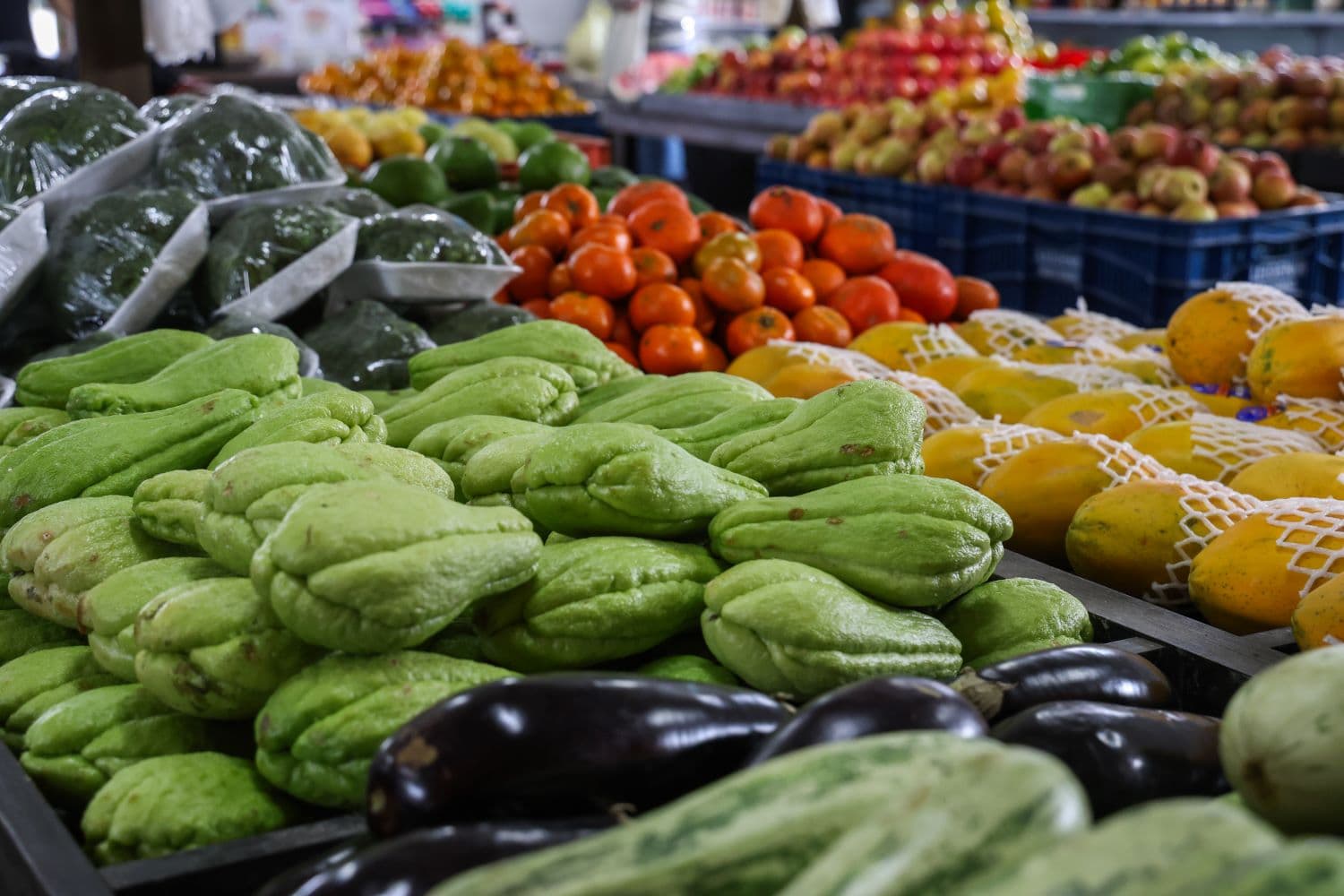Santa Catarina lidera o país em segurança alimentar, aponta IBGE