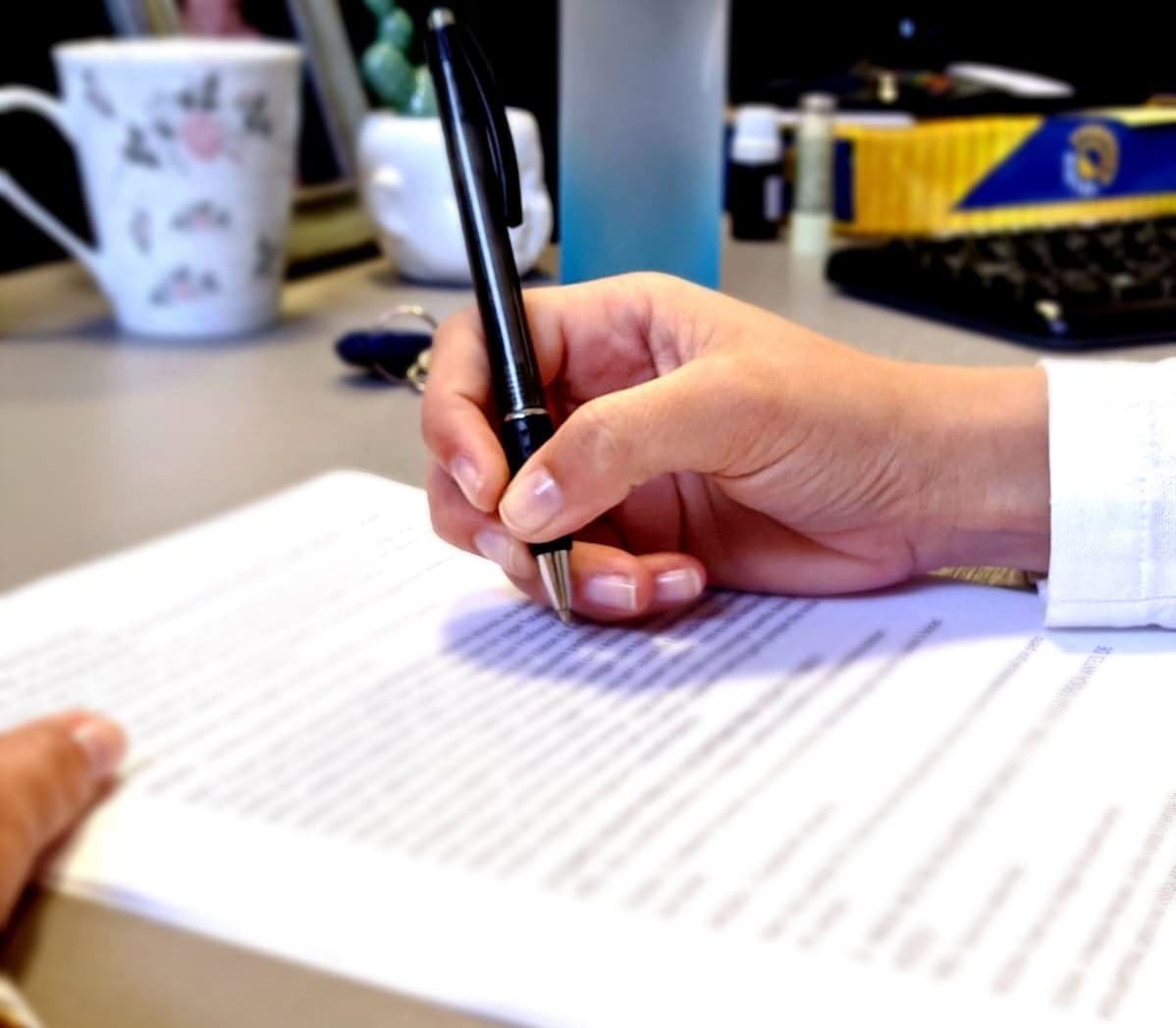 Estão abertas as inscrições de projetos para os Editais de Descentralização de Recursos da FMEC/2022 (Foto: Renan Ribeiro)