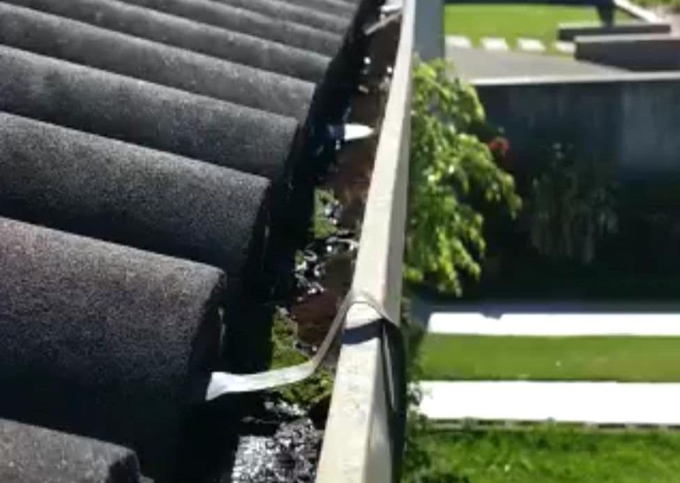 Casos de dengue multiplicam em poucos dias em Nova Erechim 