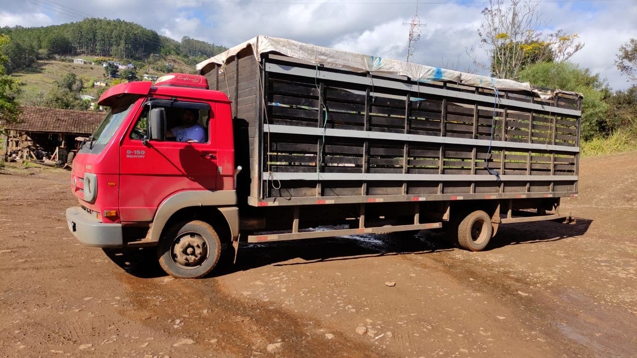 O serviço será executado por uma empresa terceirizada (Foto: Divulgação)