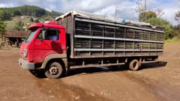 O serviço será executado por uma empresa terceirizada (Foto: Divulgação)