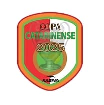 Copa Catarinense irá reunir 22 equipes em 2025 (Foto: LCF)