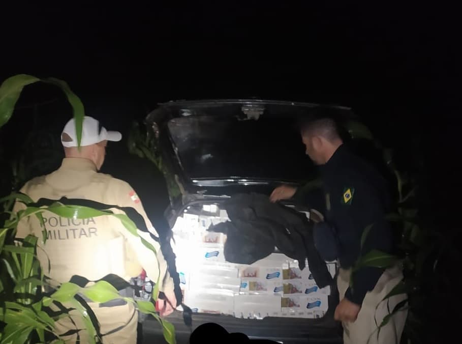 Apreensão de mercadoria aconteceu em Flor do Sertão (Foto: Polícia Militar)