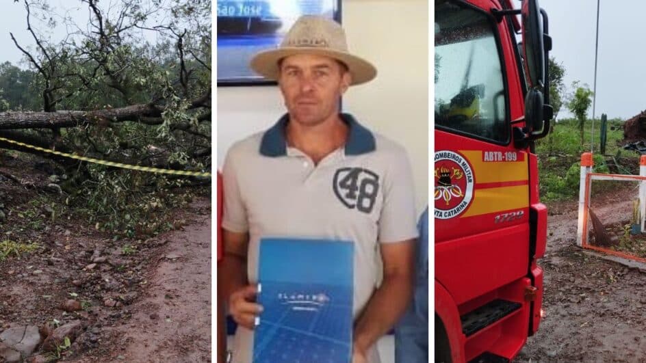 Identificado homem que morreu atingido por árvore em Palmitos (Foto: Gilmar Bortese)