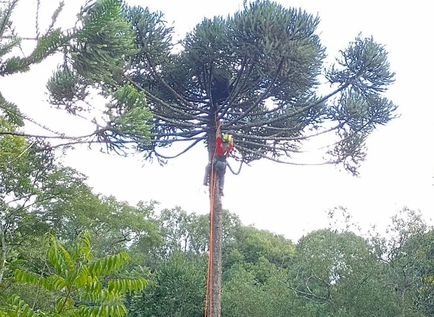 Resgate de homem que ficou preso após buscar pinhão em SC (Foto: Bombeiros voluntários)