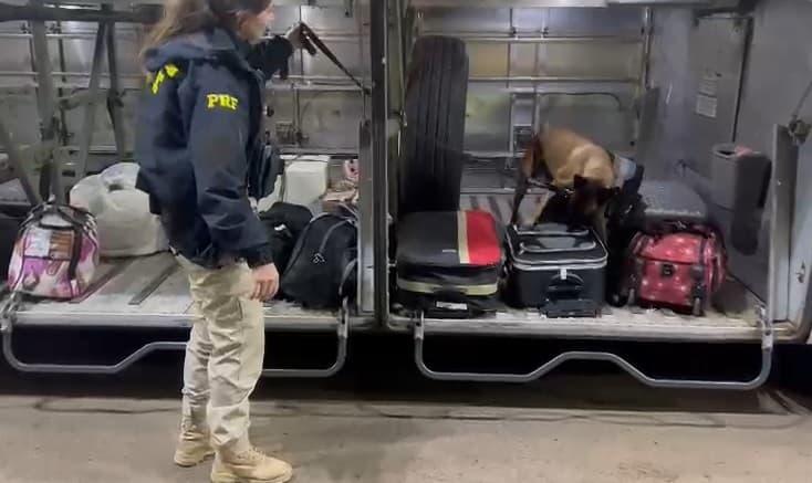 Droga estava em malas em ônibus (Foto: PRF)