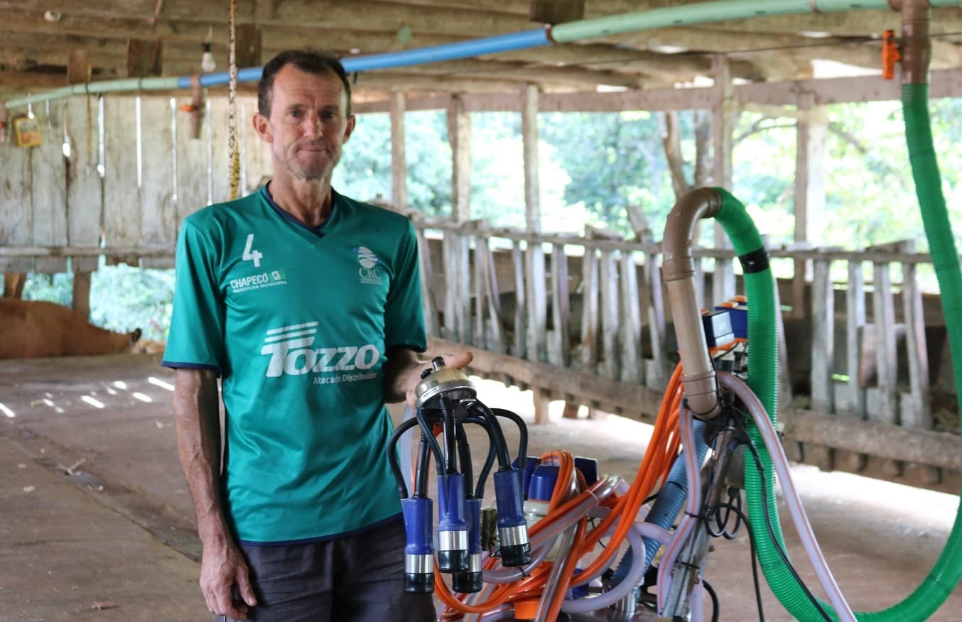 Sem ajuda de ninguém, agricultor tira leite de 22 vacas 