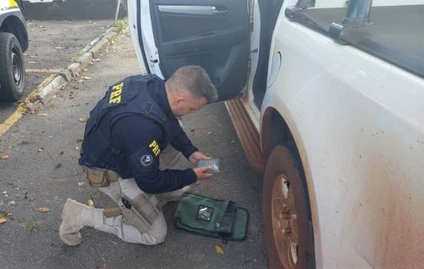 Apreensão ocorreu no estado de Minas Gerais (Foto: PRF)