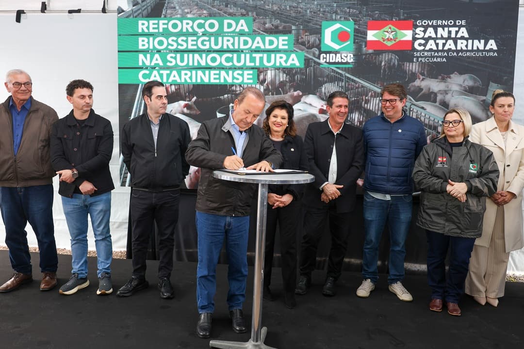 Santa Catarina lança normativa inédita de biosseguridade para suinocultura