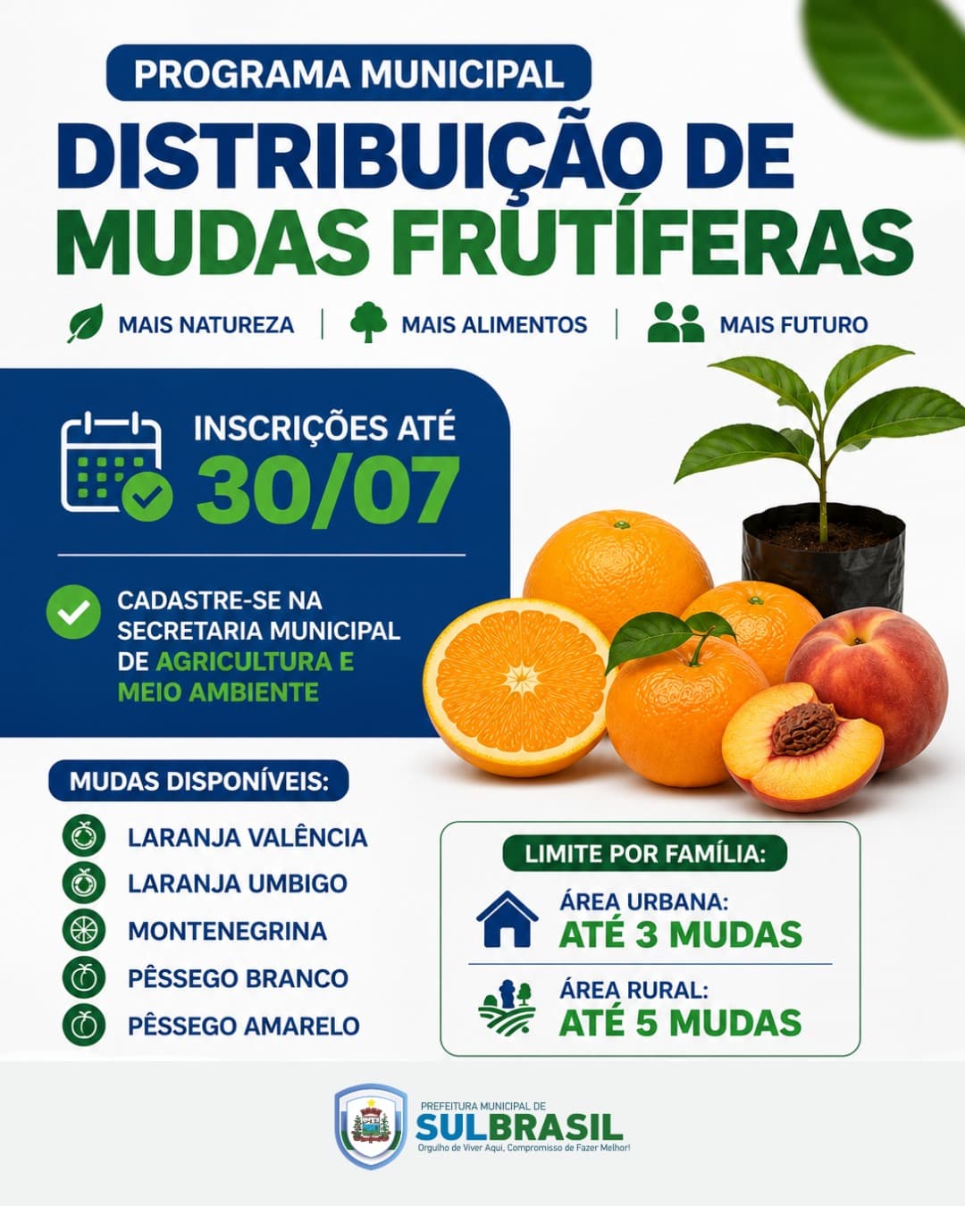Programa de Distribuição de Mudas Frutíferas está com inscrições abertas em Sul Brasil (Foto por Ascom)